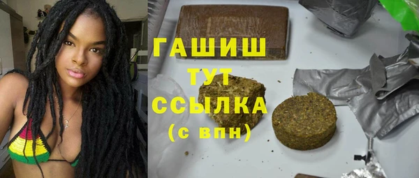 молекула духа Ладушкин