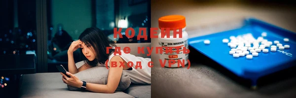 молекула духа Ладушкин