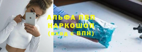 молекула духа Ладушкин