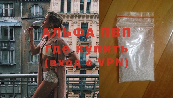 молекула духа Ладушкин
