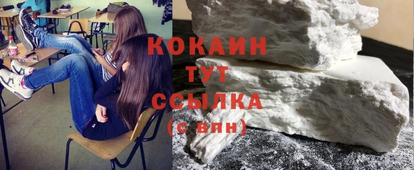 молекула духа Ладушкин