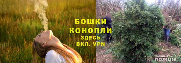 молекула духа Ладушкин