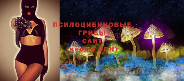 молекула духа Ладушкин